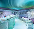 Norwegian Epic - Ice Bar